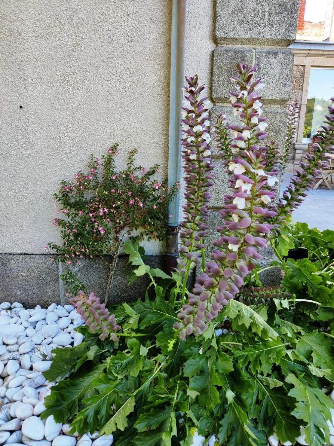 Vallee 1900 Bed & Breakfast